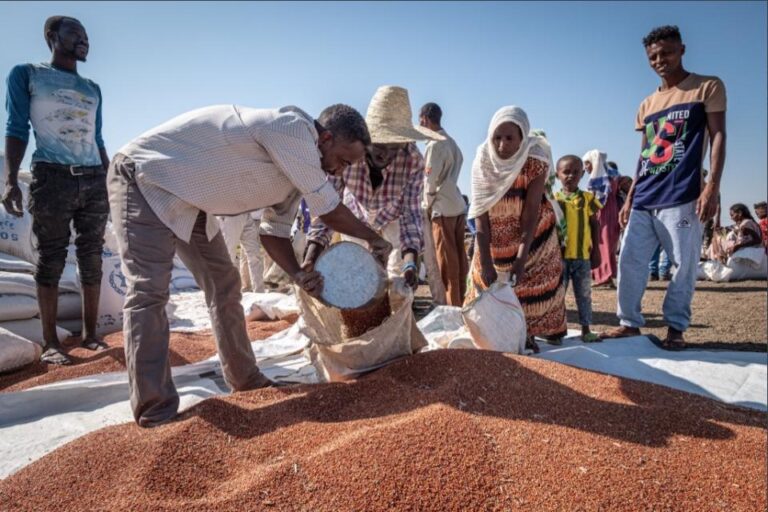 UN Launches New Food Security Initiative