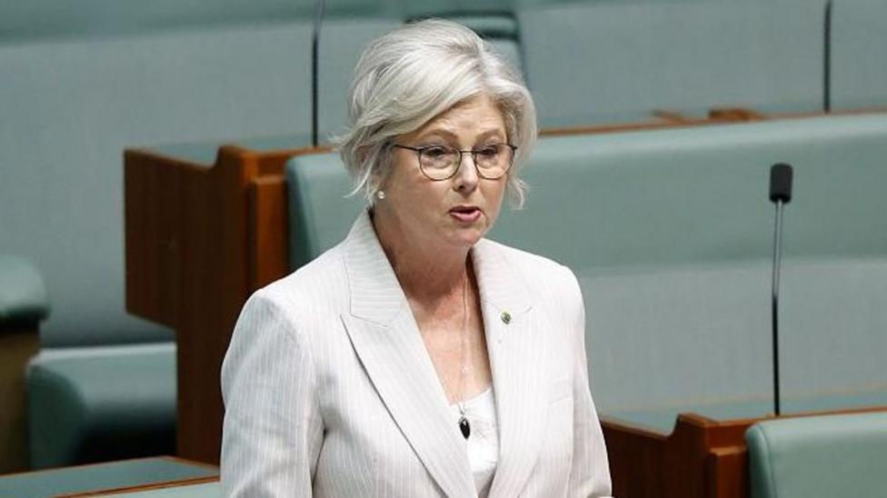 Australian MP Helen Haines Stable After Alleged Vehicle Attack