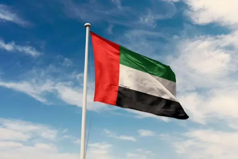 UAE Extends Condolences After Saudi Helicopter Crash Kills Two